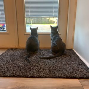 Meet your Posher, Tanya